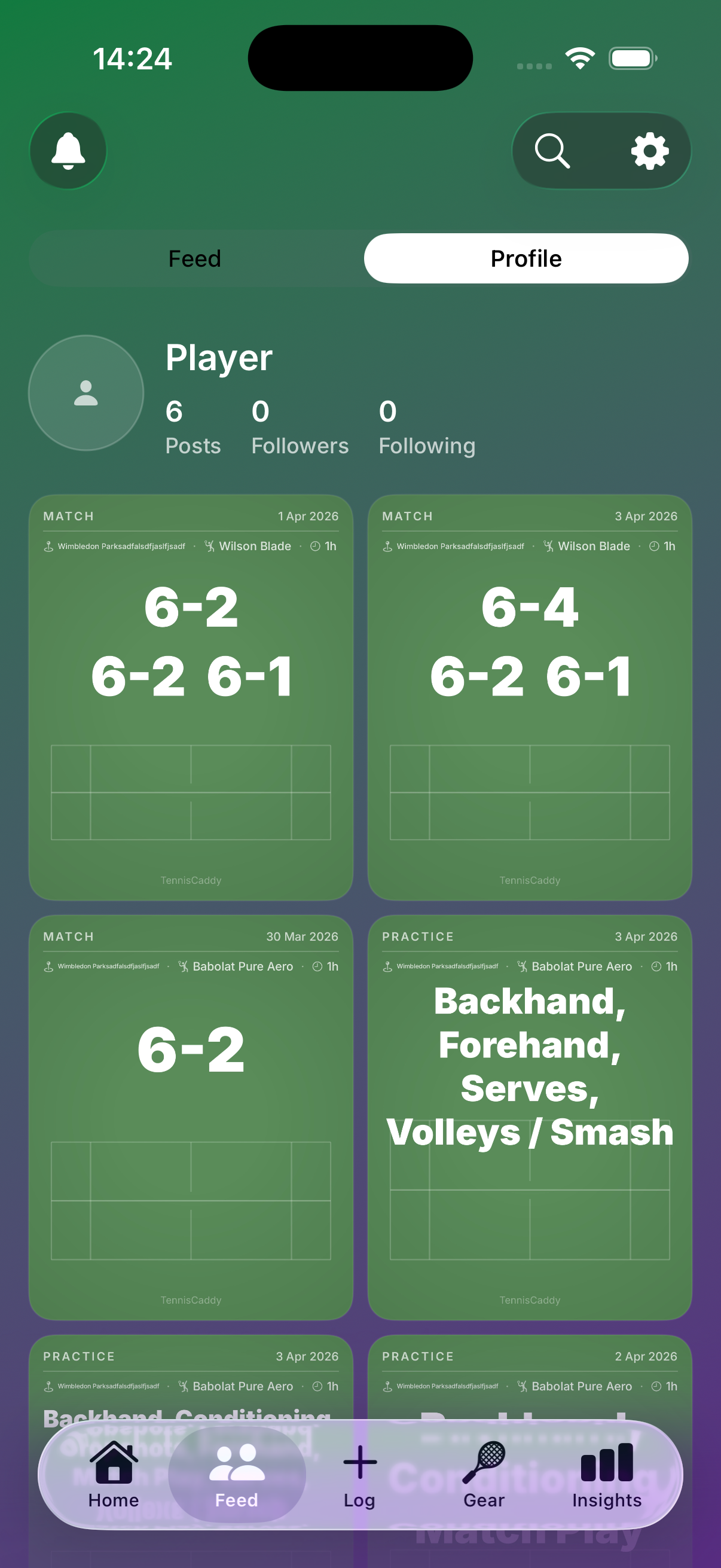 Player profile showing post grid and social profile stats